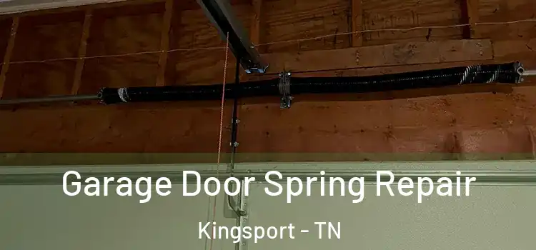  Garage Door Spring Repair Kingsport - TN