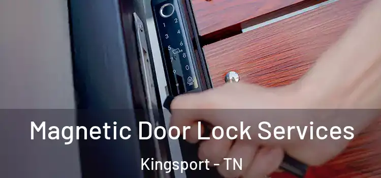 Magnetic Door Lock Services Kingsport - TN