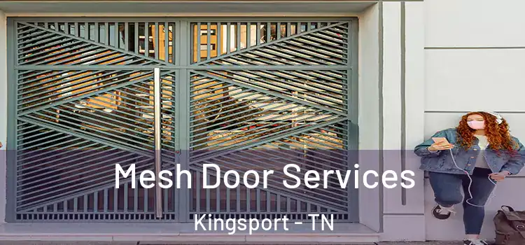Mesh Door Services Kingsport - TN