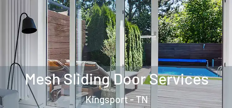 Mesh Sliding Door Services Kingsport - TN