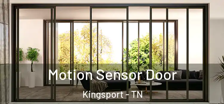 Motion Sensor Door Kingsport - TN